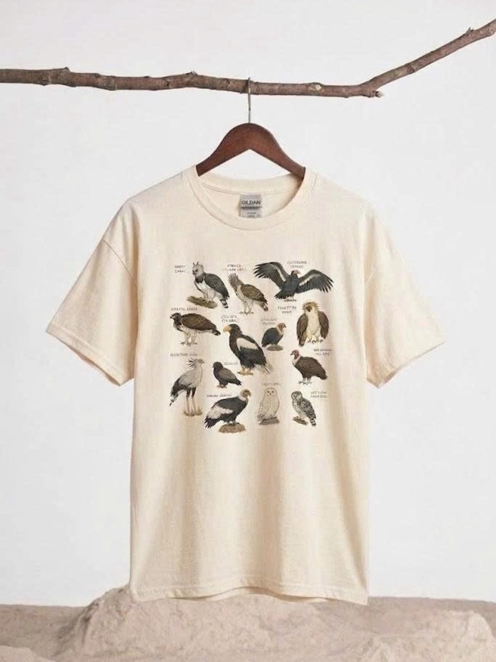 Vintage Birds of Prey Graphic T-Shirt Natural Raptor Bird Watcher Tee